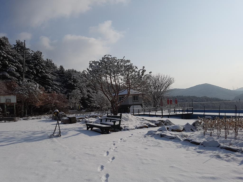 Bluesky Pension Pocheon Exterior foto